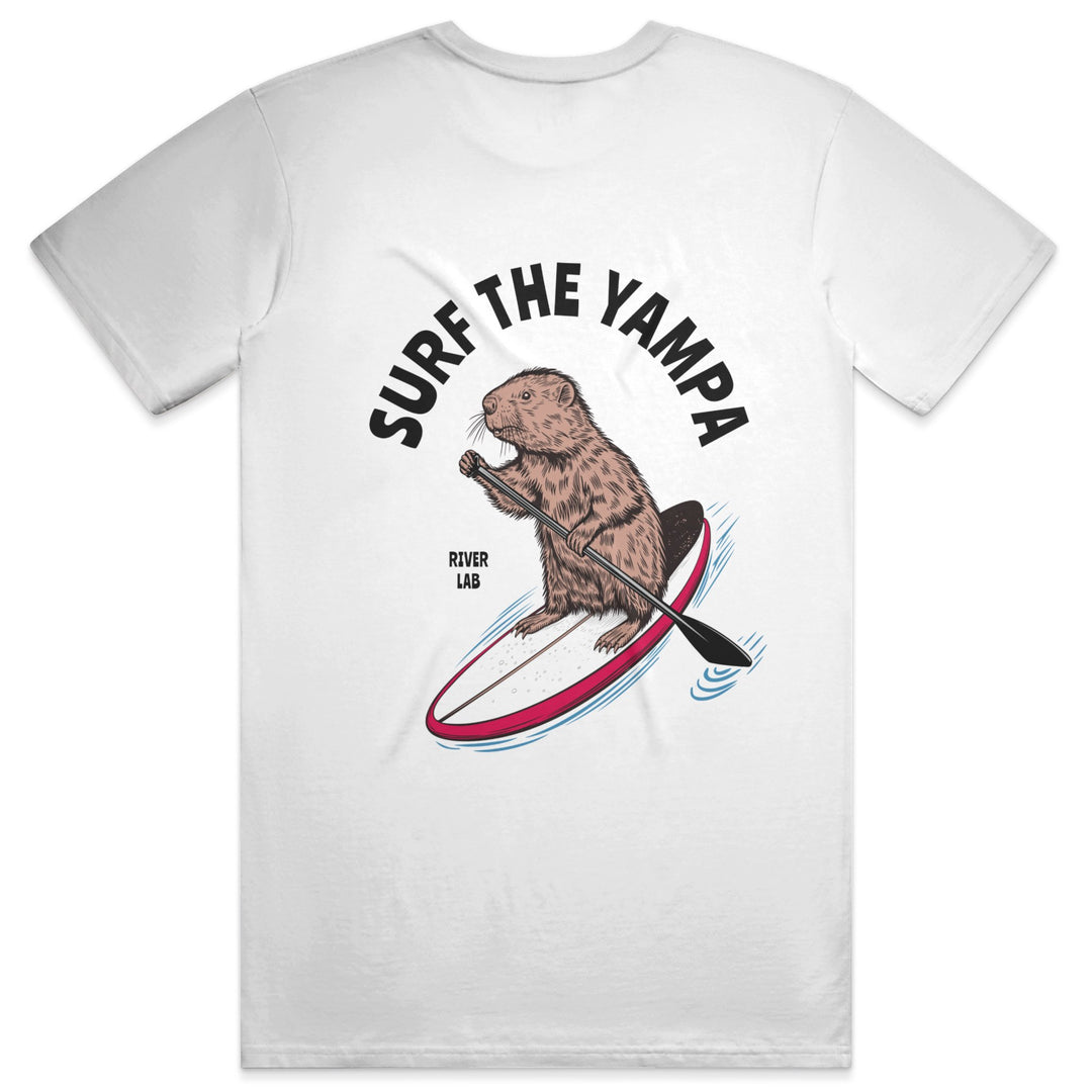 Surf the Yampa